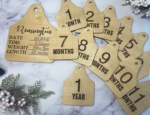 Baby Birth Announcement Milestone Markers cattle tags