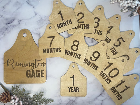 Baby Birth Announcement Milestone Markers cattle tags